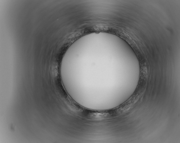 X0000111510323200908041228