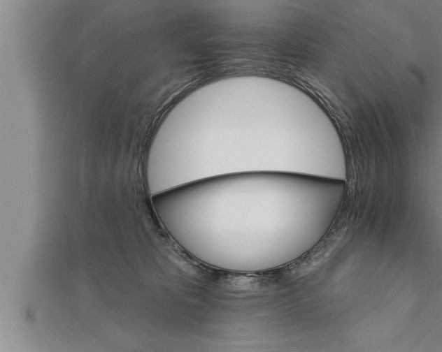 X0000111510325200908041228
