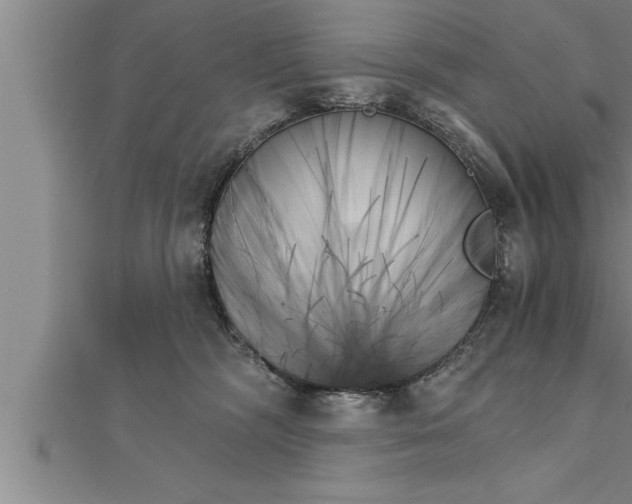 X0000111510326200908041228