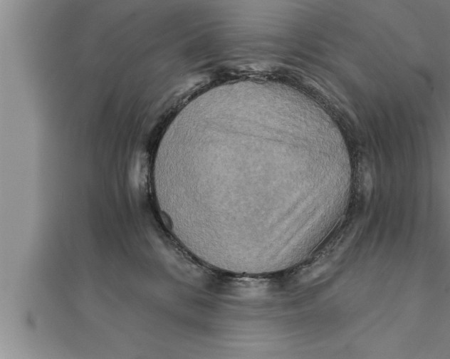 X0000111510328200908041228