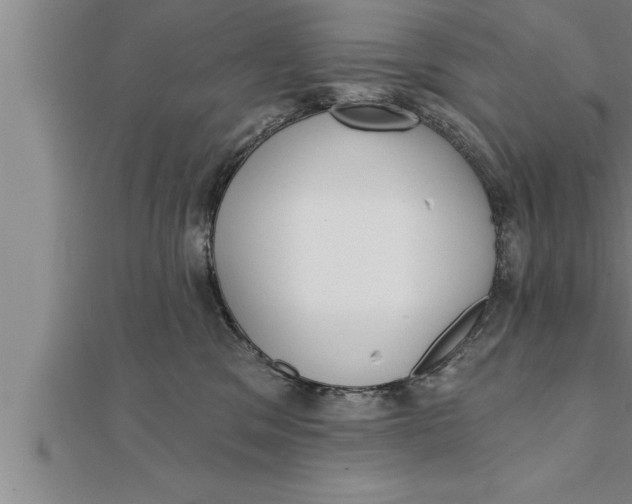 X0000111510329200908041228