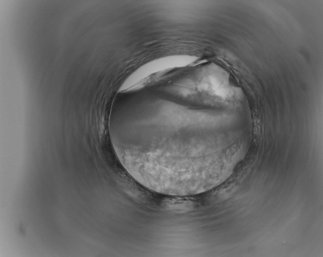 X0000111510331200908041228
