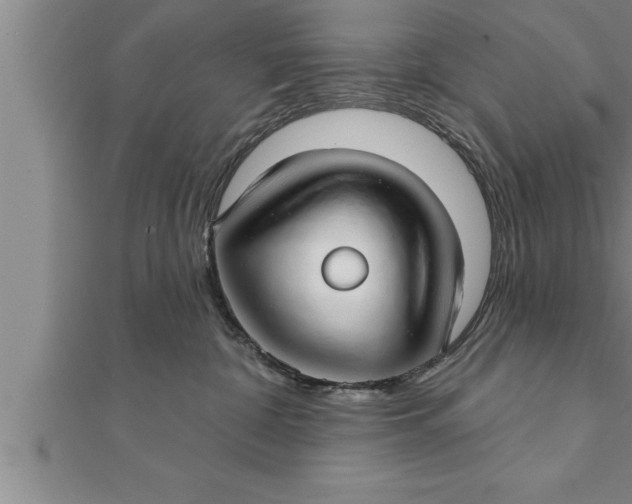 X0000111510332200908041228
