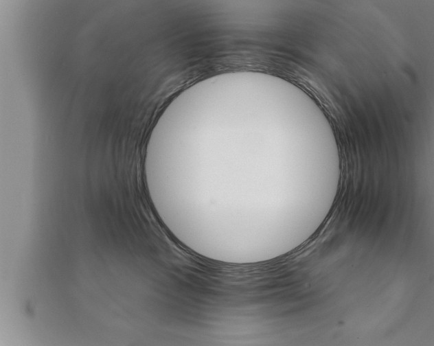 X0000111510333200908041228
