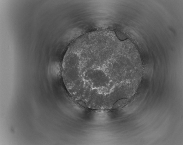 X0000111510335200908041228