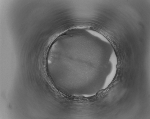 X0000111510337200908041227