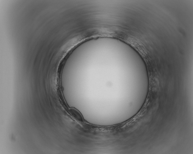 X0000111510338200908041227