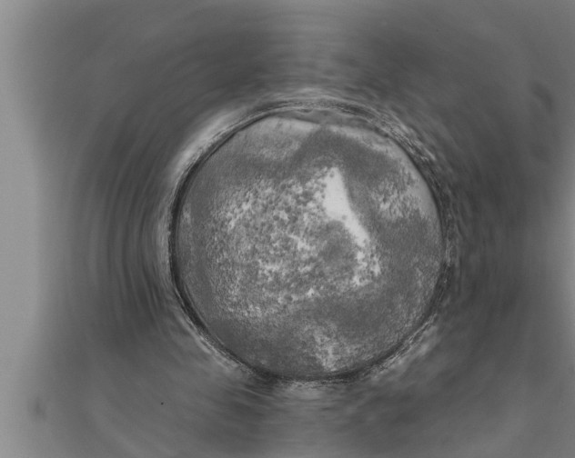 X0000111510341200908041227