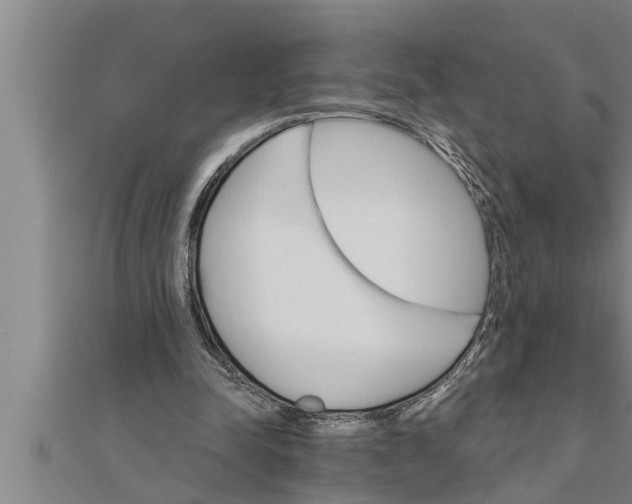 X0000111510342200908041227