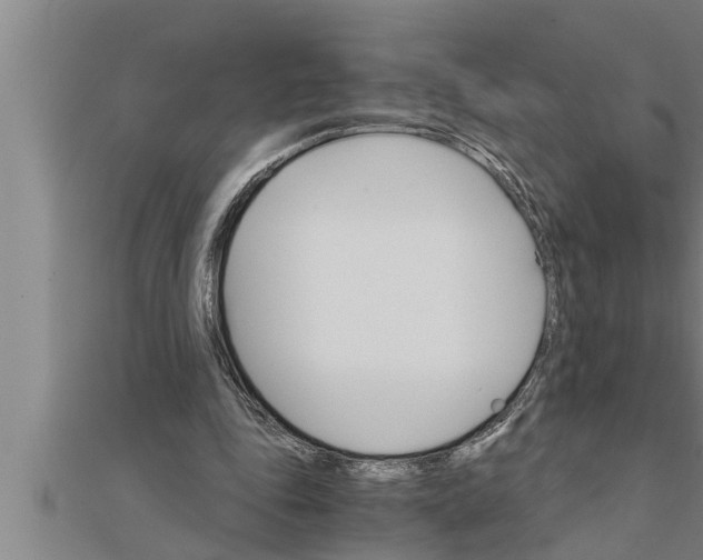 X0000111510343200908041227