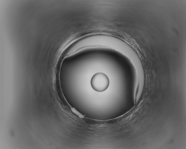 X0000111510344200908041227