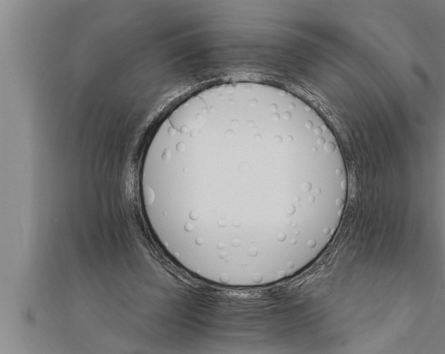 X0000111510347200908041227