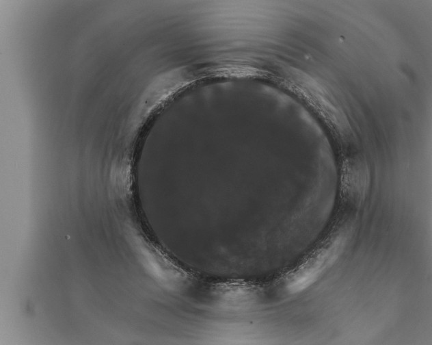 X0000111510351200908041227