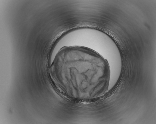 X0000111510352200908041227