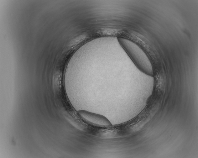 X0000111510356200908041227