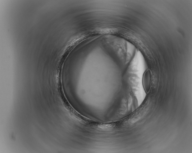 X0000111510357200908041227