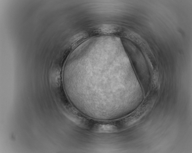 X0000111510360200908041227