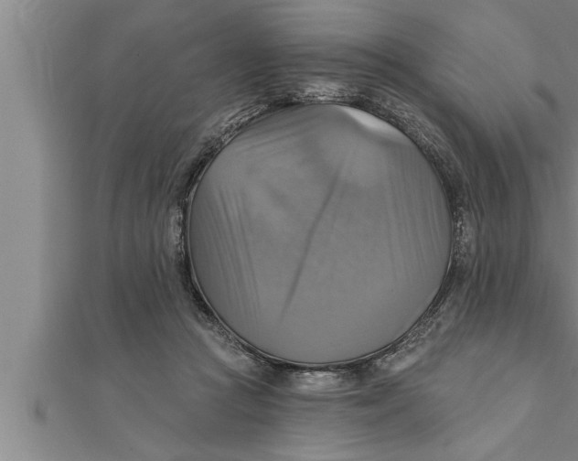 X0000111510361200908041227