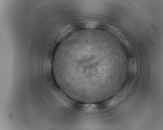 X0000111510363200908041227
