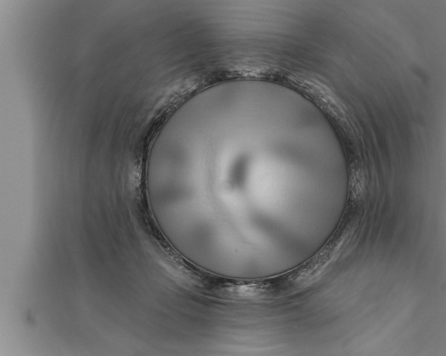 X0000111510365200908041227