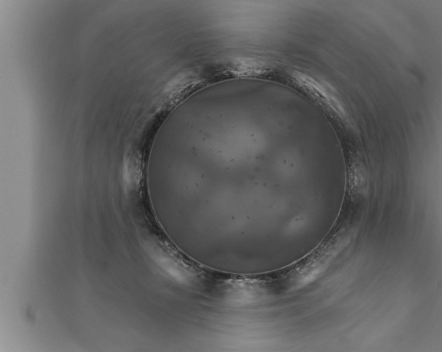 X0000111510367200908041227