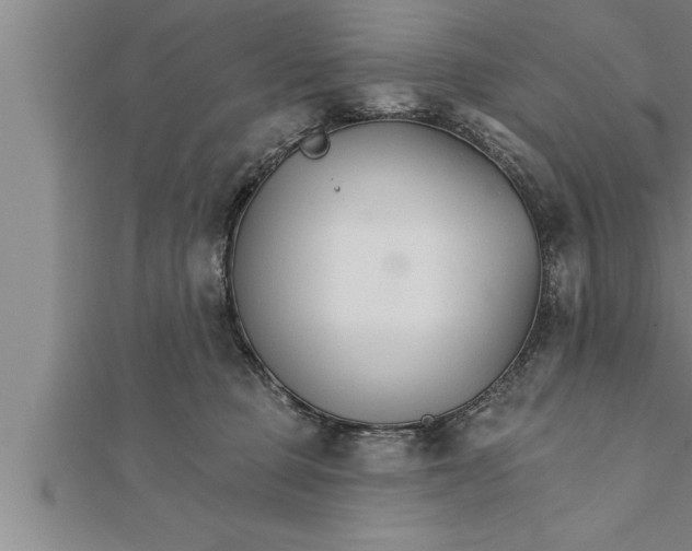 X0000111510373200908041227
