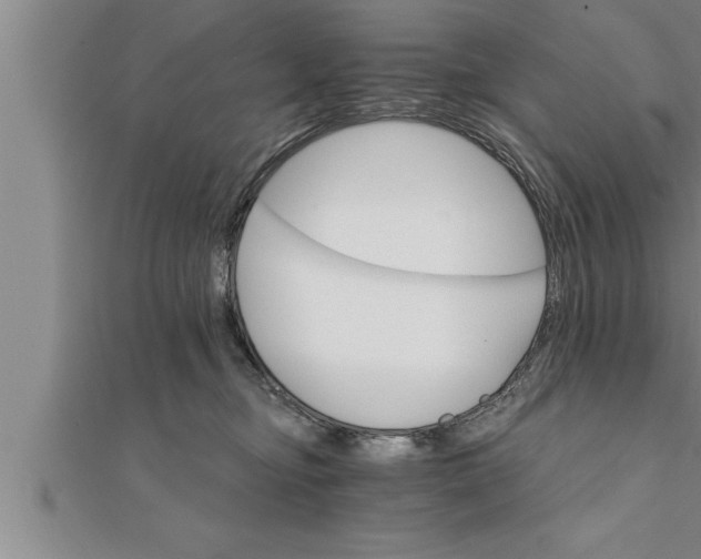 X0000111510374200908041228