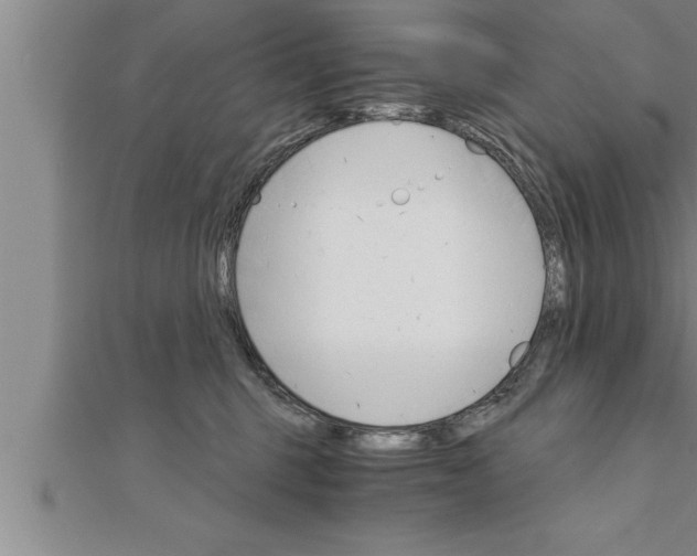 X0000111510375200908041228