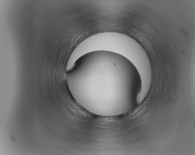 X0000111510384200908041228