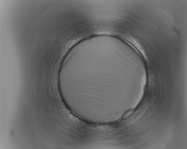 X0000111510385200908041227