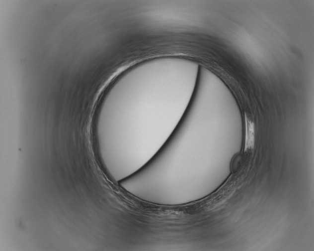 X0000111510387200908041227