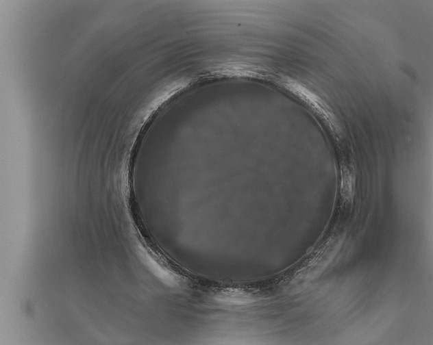 X0000111510390200908041227
