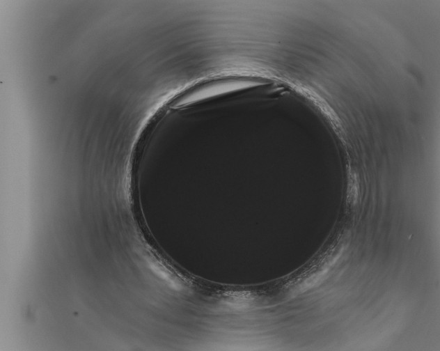 X0000111510391200908041227