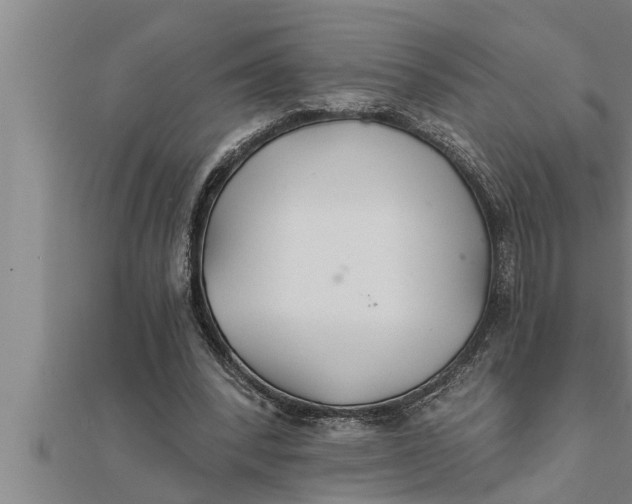 X0000111510392200908041227