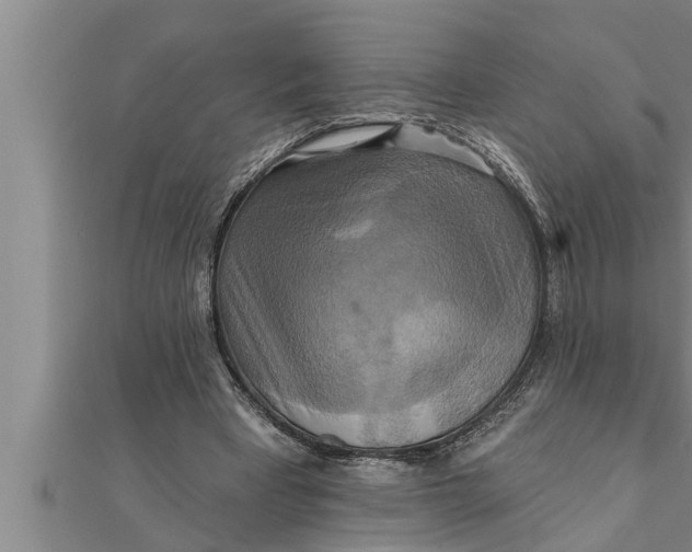 X0000111510393200908041227