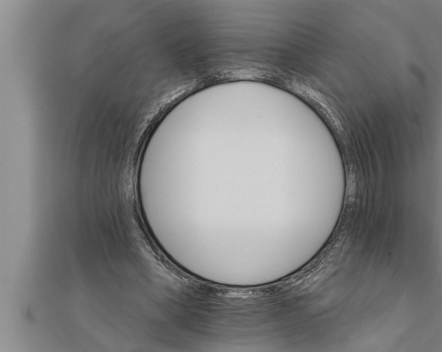 X0000111510394200908041227