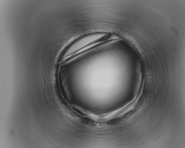 X0000111510395200908041227