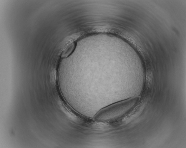 X0000111510397200908041227