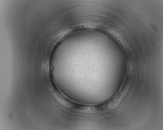 X0000111510398200908041227