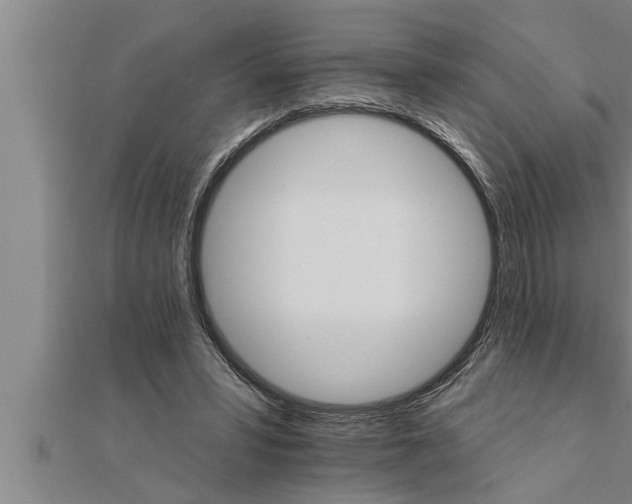 X0000111510399200908041227