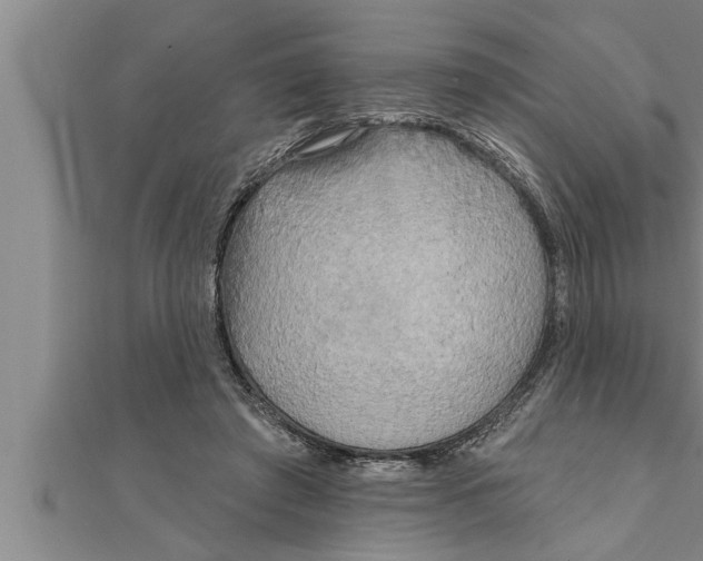 X0000111510401200908041227
