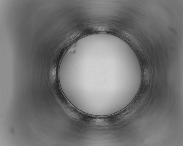 X0000111510406200908041227