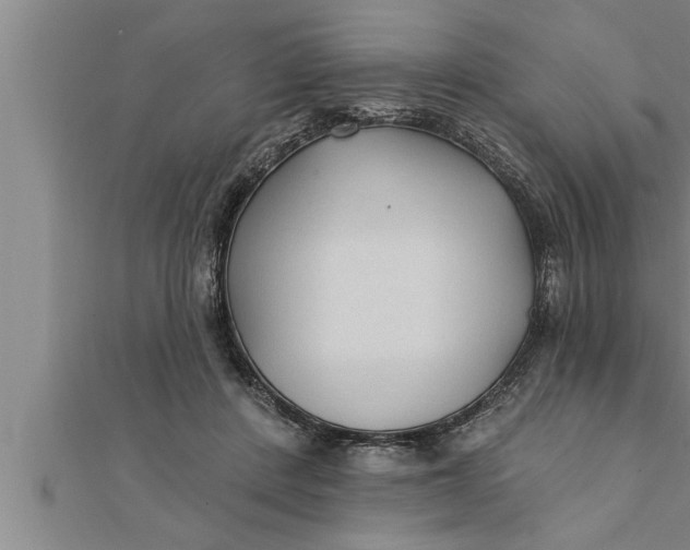 X0000111510408200908041227