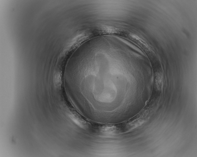 X0000111510410200908041227
