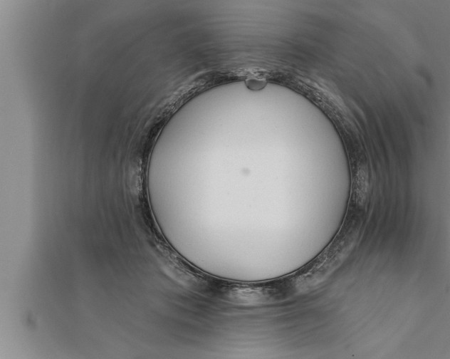 X0000111510413200908041227