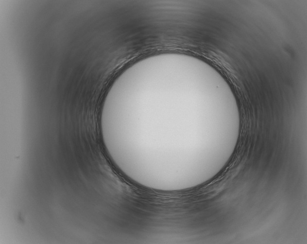 X0000111510415200908041227
