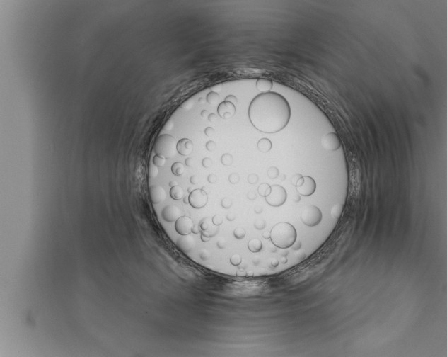 X0000111510418200908041227