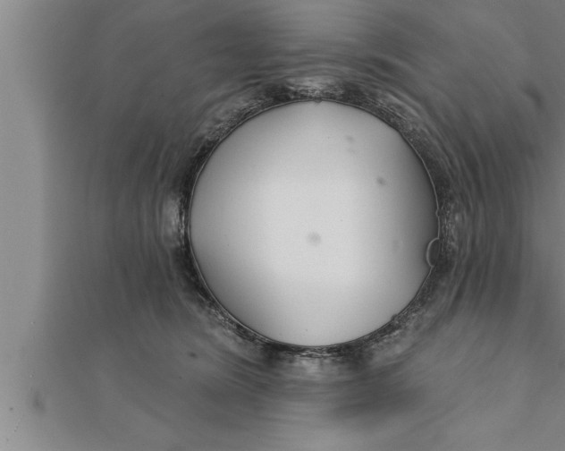 X0000111510420200908041227