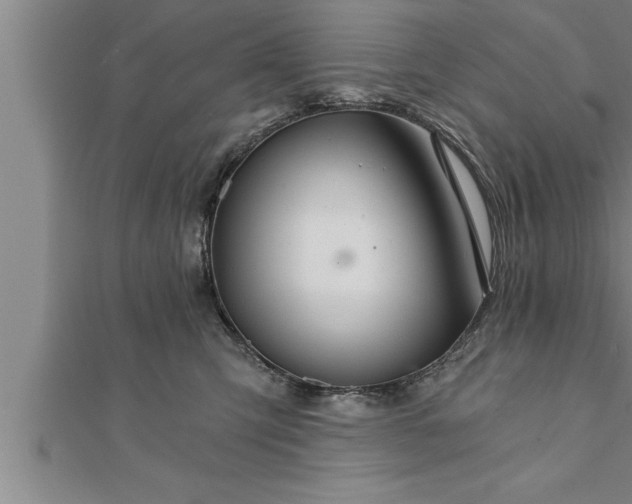X0000111510423200908041227