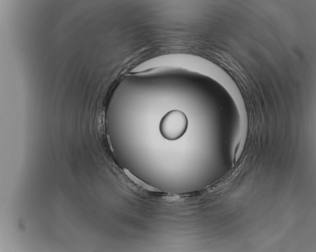 X0000111510425200908041227